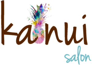 Image of Ka Nui SalonPineapple Logo