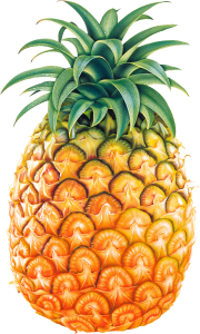 real pineapple